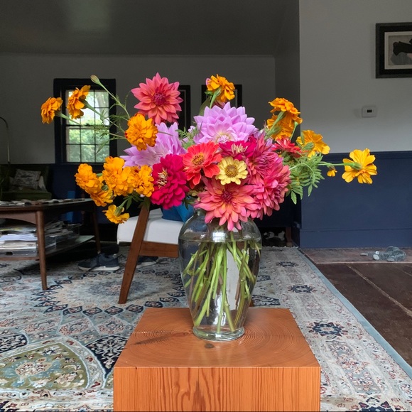 Meet your Posher, Theresa - Picture 1 of 1